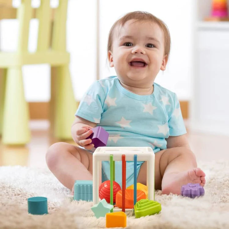 Blocs de forme Montessori