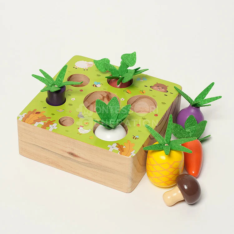 Ensemble de légumes Montessori